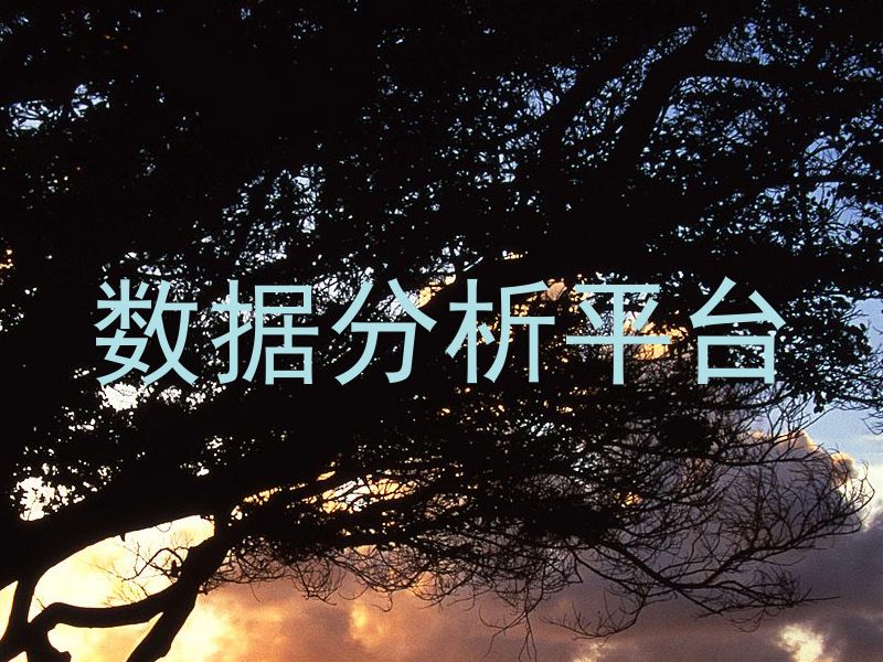 数据分析平台