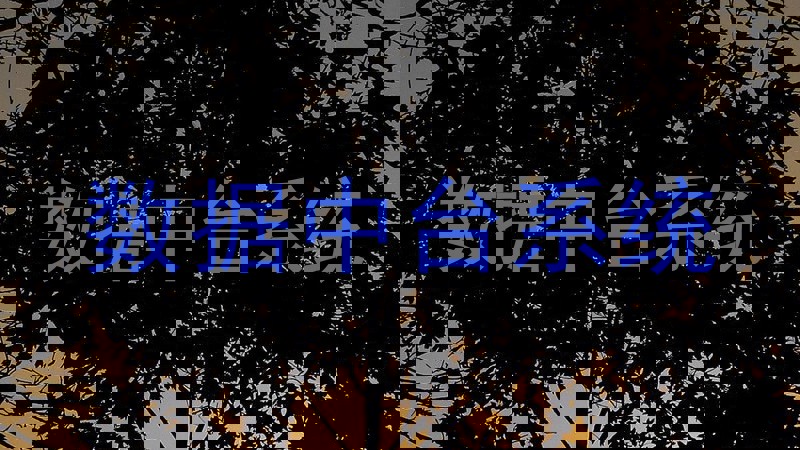 数据中台系统