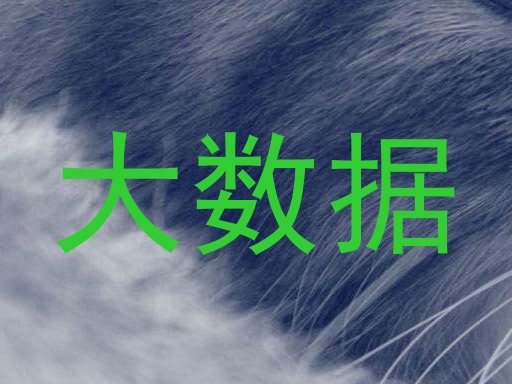 大数据