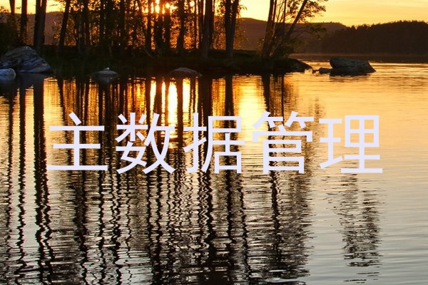 主数据管理