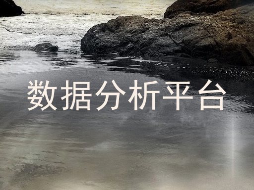 数据分析平台