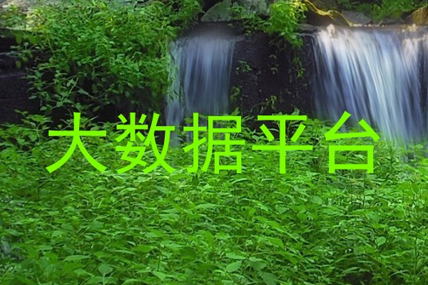 大数据平台