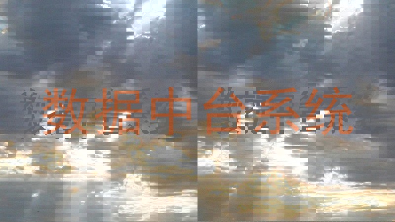 数据中台系统