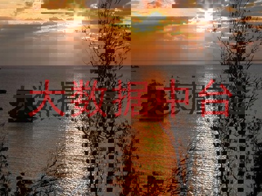 大数据中台