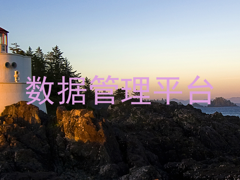 数据管理平台