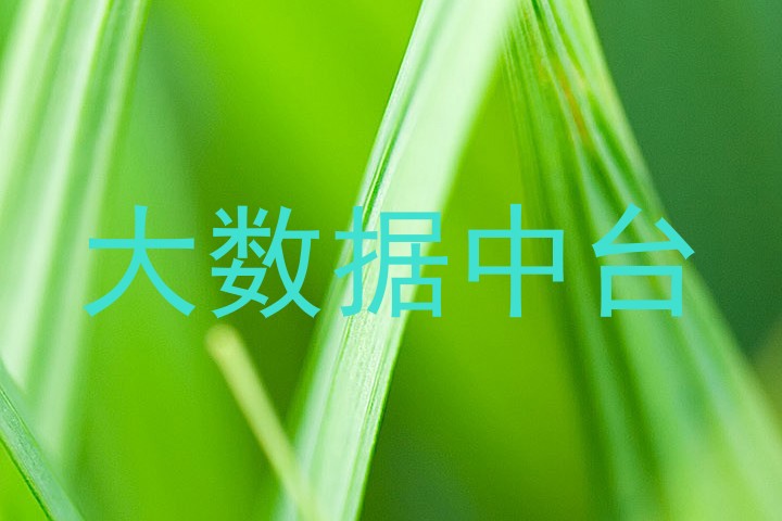 大数据中台