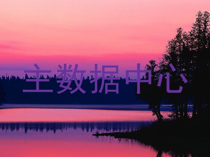主数据中心