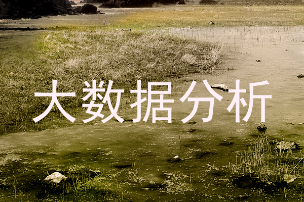 大数据分析