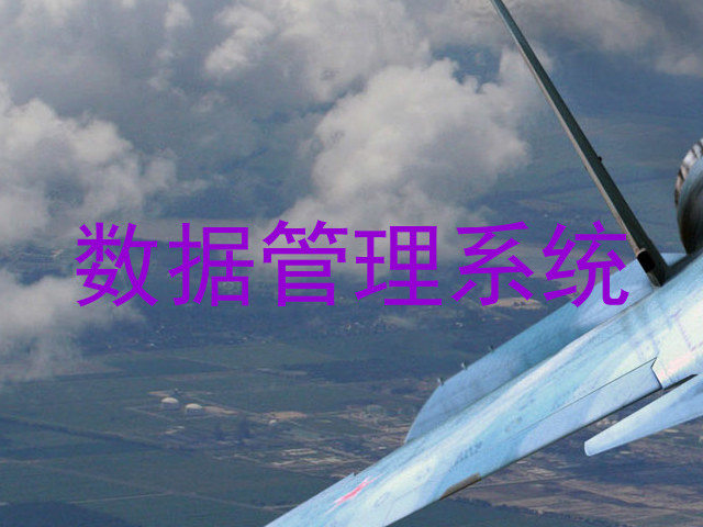 数据管理系统