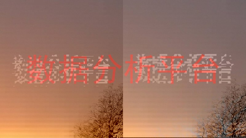 数据分析平台