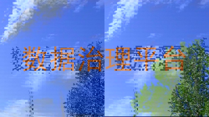 数据治理平台