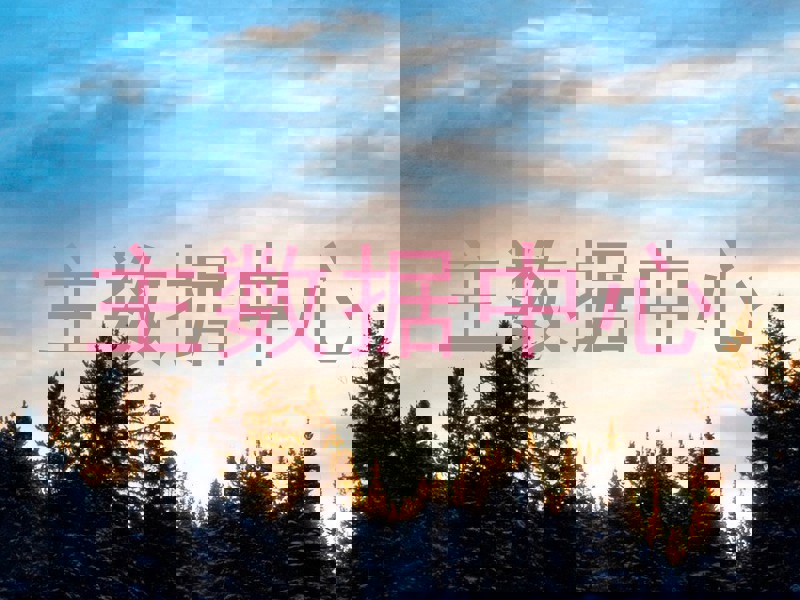 主数据中心