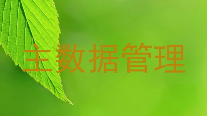 主数据管理