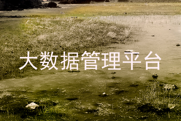大数据管理平台