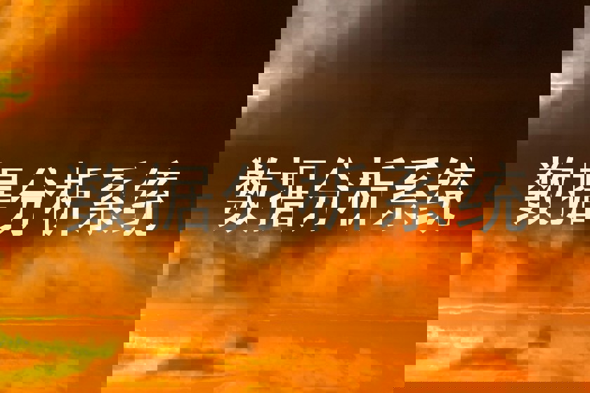 数据分析系统