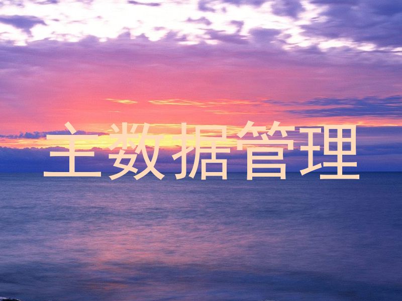 主数据管理