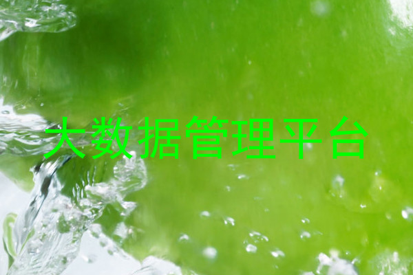 大数据管理平台