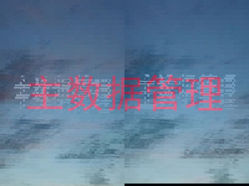 主数据管理