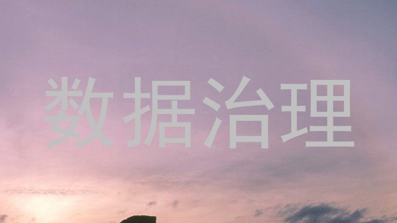 数据治理