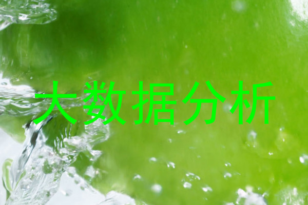 大数据分析