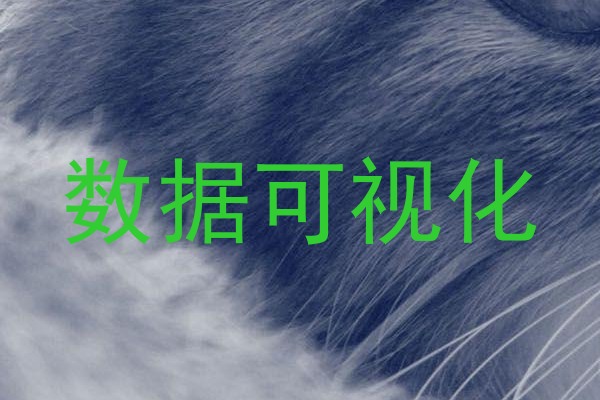 数据可视化