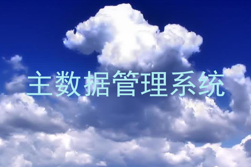 主数据管理系统