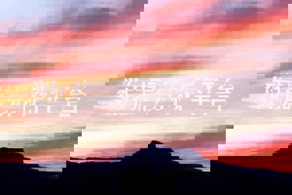 数据分析平台