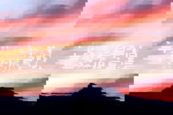 主数据管理