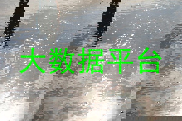 大数据平台