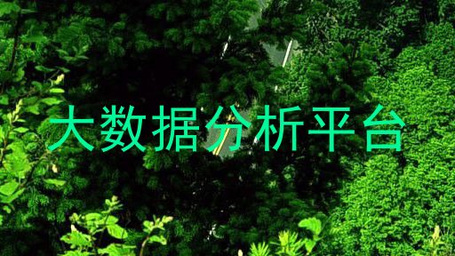 大数据分析平台
