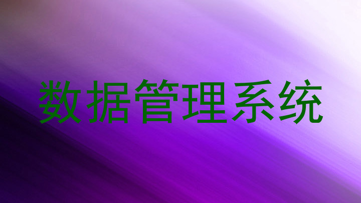 数据管理系统