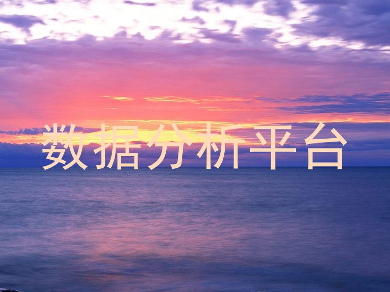 数据分析平台