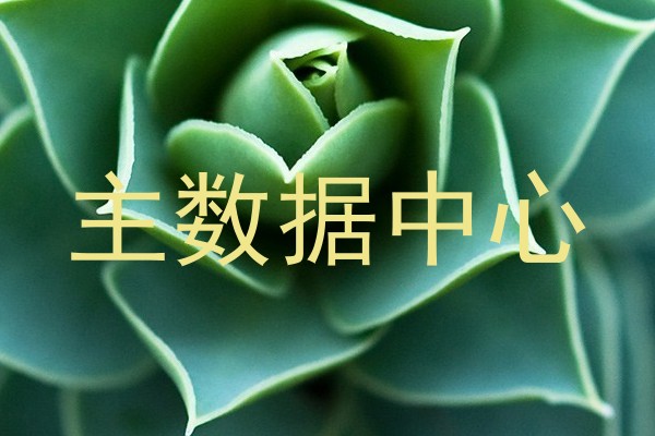 主数据中心