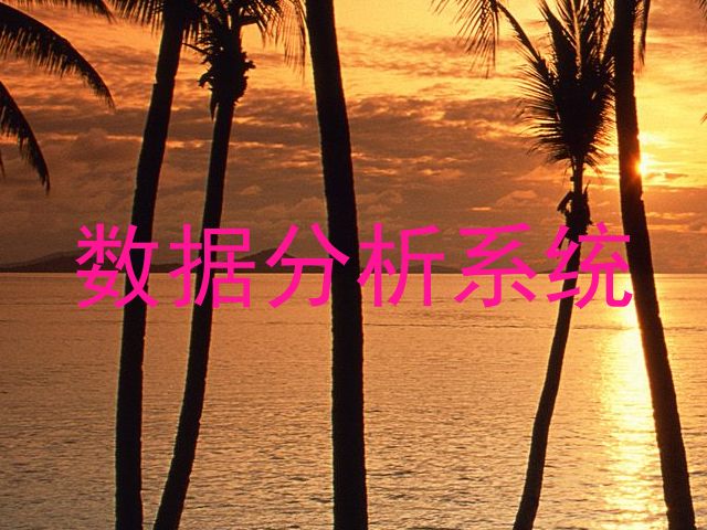数据分析系统