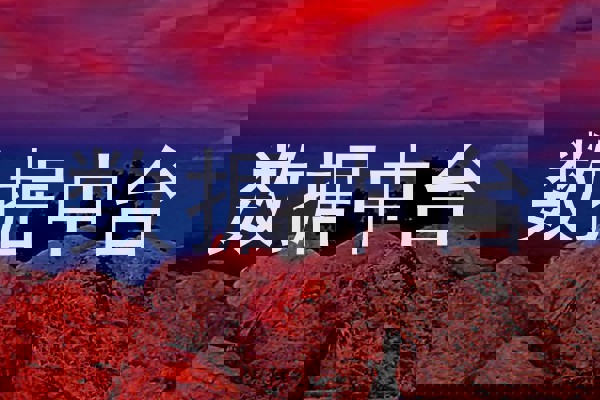 数据中台