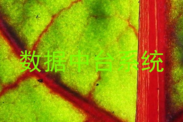 数据中台系统