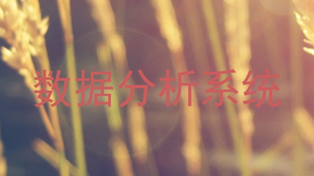 数据分析系统