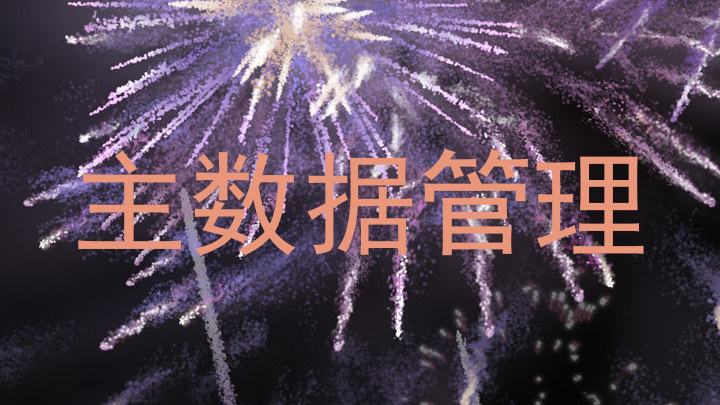 主数据管理