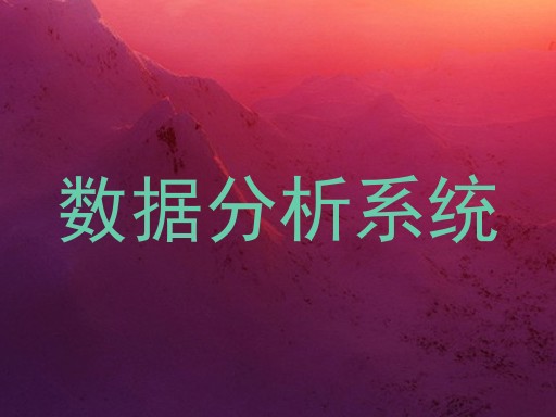 数据分析系统