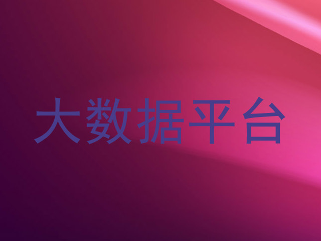 大数据平台