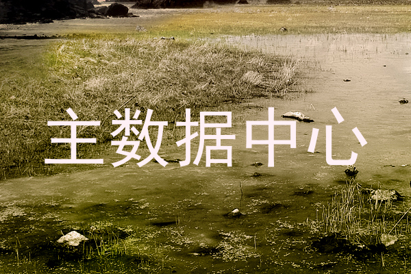 主数据中心