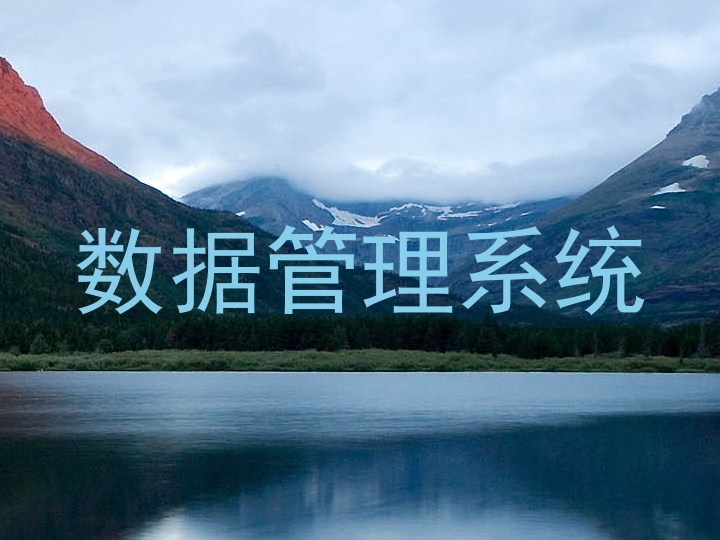 数据管理系统