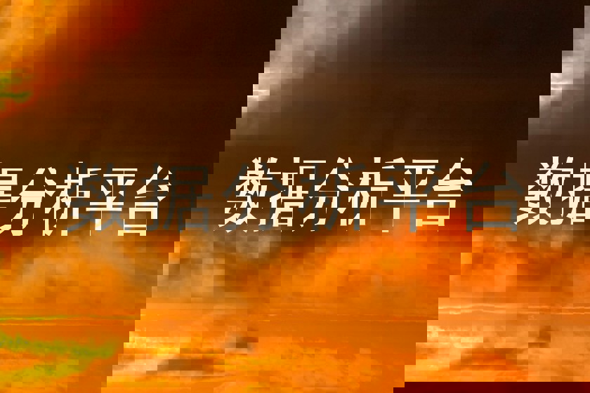 数据分析平台