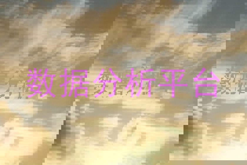 数据分析平台