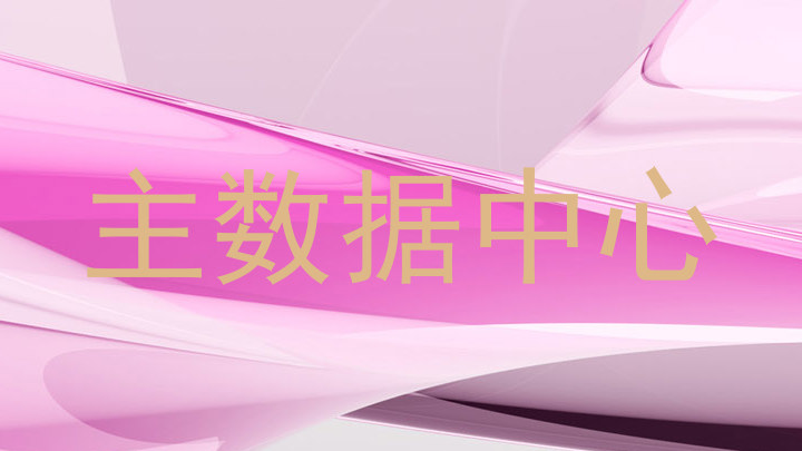 主数据中心