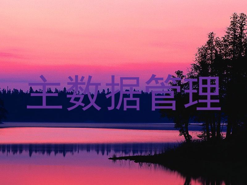主数据管理