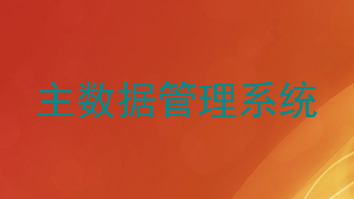 主数据管理系统