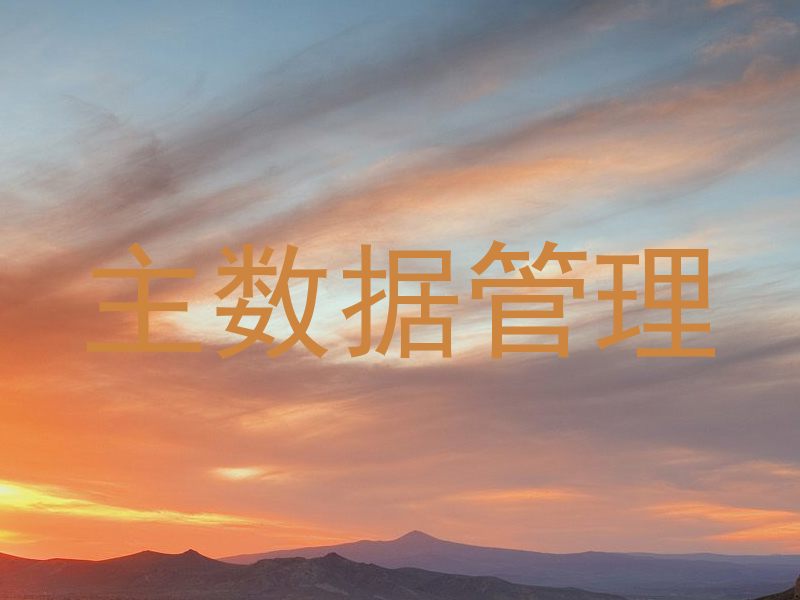 主数据管理