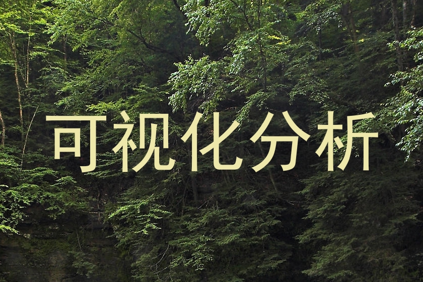 可视化分析