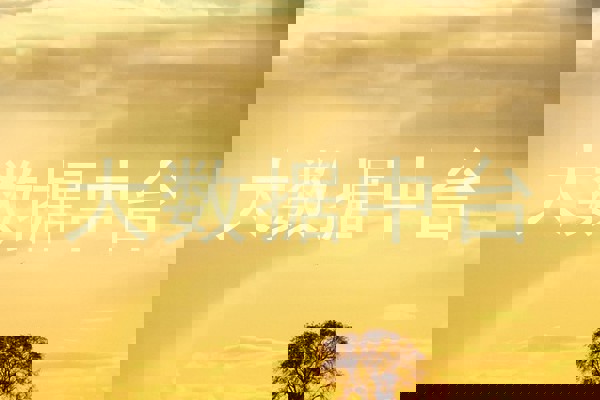 大数据中台